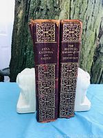Front spines of two leather-bound classic books 'Anna Karenina' and 'The Brothers Karamazov' showing gold embossed detailing and titles.