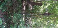 Tall metal bird feeder shaped like a birdhouse on a pole in wooded area