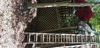 Wide side view showing two tall extension ladders leaning against fence outdoors, both made of metal, one Werner brand