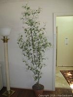 Full view of the tall 82 inch faux flowering plant with white flowers and green leaves against wall with terracotta pot base.