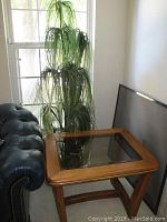Photo showing wood framed side table with glass top next to one of the faux plants by a window