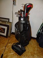 Full view of black and gray Fairway golf bag with multiple clubs inside, driver head covered.