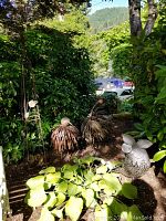 Wide shot showing two metal bird sculptures and metal trellis art piece outdoors among greenery and plants.