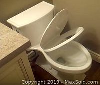 Photo showing a biscuit-colored Kohler Kathryn one-piece toilet installed next to a granite countertop and beige wall. Toilet seat is raised.