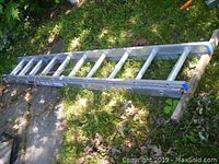Full length of aluminum extension ladder with multiple rungs, lying on grass and pavement.