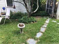 Wide view showing cement bird bath located on grass near a tree with outdoor garden setting.