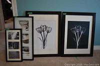 Four black wood picture frames with white matting and black and white stock photo prints leaning against a blue wall.
