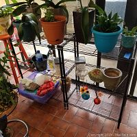 Black metal wire shelving unit shown with various potted plants and small decorative items on shelves, displayed indoors on tiled floor near glass door.