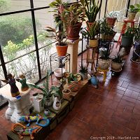 Wide view of potted plants, yard figures, and stands near window with tiled floor.