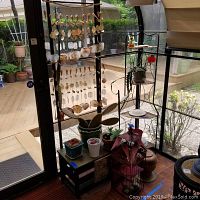 Wide view of hanging sea shell decor, cactus plant in ceramic pot, corner shelves with several plants, decorative bird house, and planter base.