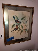 Framed naturalist bird print featuring two colorful birds on branches with bamboo-style frame and mirrored edge.