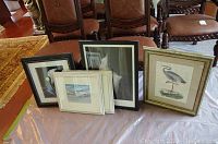 Five framed prints on chairs showing black and white florals and bird illustrations with various frame colors and styles.