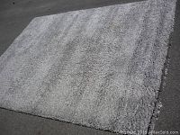 Full view of the large grey area rug laid out flat showing shape, size, pile texture and color.