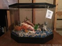 Full view of rectangular fish tank with black frame showing inside decorations of stones, artificial plants, and seashells.