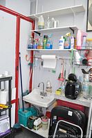 View showing shelves with various cleaning supplies including sprays and liquids, a mop and bucket below the sink, and surrounding area.