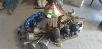 Overall view showing a collection of garden figurines, garden lights, bird feeder. Includes frogs, lions, Buddha head, turtle, fish statue.