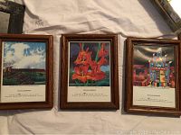 Three Douglas Johnson framed prints lying flat showing diverse subjects: landscape, flowers, and architectural art.