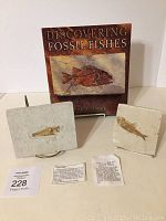Two fossil fish specimens on stone slabs with metal stands displayed alongside the book and accompanying printed documents.