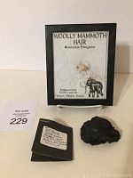 Framed woolly mammoth hair display showing mammoth hair fibers embedded under glass.