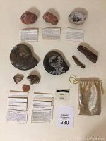 Overview photo of lot showing three geodes, two polished ammonite fossils, smaller rock and fossil specimens, informational cards, and gold drawstring bag.