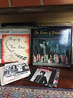 Photo showing multiple vinyl record albums stacked, including The Pirates of Penzance, Songs by Tom Lehrer, Cheap Trick, and Zarah Leander.