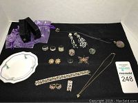 View of entire lot showing various pieces including bracelet, rings, earrings, necklace, and brooches.