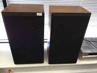 Pair of speakers with wood veneer finish and black grille covers shown side by side