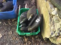 Green crate containing five duck decoys, various sizes and colors, primarily brown and gray tones with realistic markings.