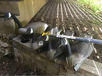 Three goose decoys positioned on brick ledge outdoors in natural light. One large decoy with visible feet and two smaller decoys.