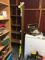 Full view of Ryobi electric pole saw standing upright showing the extendable pole and handle.