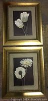 Photo of the two floral prints side by side on a floor, showing the gold-tone frames and the white flowers on dark backgrounds.