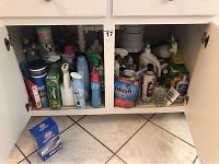 Under sink cabinet shelf showing various cleaning products including sprays, detergent, soap, and gardening supplies.