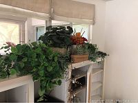 Wide view of multiple faux plants including leafy vines and succulent baskets on shelving unit near window