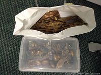 Plastic container holding multiple brass and glass crystal door knobs, vintage lock and key covers, and decorative trim pieces on carpeted floor.