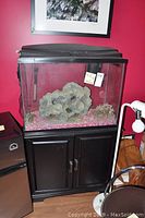 Front view of terrarium on black stand against red wall with aquarium decorations inside.