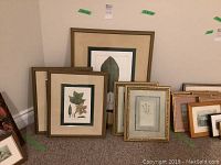 View of multiple framed botanical prints with various frame sizes and styles on carpeted floor