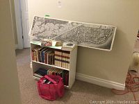 Small white wooden bookcase filled with various books and a pink tote bag containing more books. A long, narrow framed black and white map or print leans against the wall above.