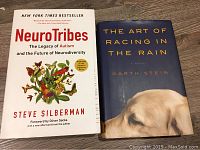 Two books: NeuroTribes by Steve Silberman and The Art of Racing in the Rain by Garth Stein placed side by side on a wooden surface.