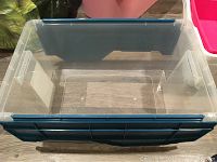 Clear rectangular plastic bin with dark green lid shown empty on wooden floor.