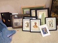 Group of framed and matted photographs and art prints including moonrise photos, botanical prints, crab, butterflies, and mountain scenery.