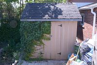 View of the full 4x6 wooden shed with beige painted walls, black shingled roof, and ivy growing on one side