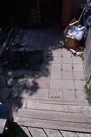 Outdoor patio floor stone tiles in light gray and reddish tones with some grass growing between cracks.