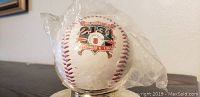 Baseball sealed in plastic with commemorative 2131 logo and date September 6, 1995, on one side.
