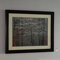 Framed print showing a forest scene with blooming dogwood trees, cream mat and dark frame