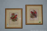 Two bird prints in gold frames on a blue wall.