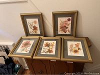 Five pressed flower art pieces in matching gold frames displayed together on a wooden surface against a wall.
