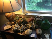 Photo of the vintage ceramic lamp, ceramic planters, seashells, minerals, and collectible bottle on a table near a window.