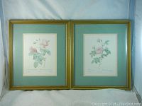 Pair of rose prints framed and matted with greenish-blue mats and gold-tone frames with glass.