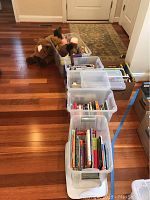 Five plastic containers and one cardboard box filled with children's and young adult books, arranged in a row on hardwood floor with several stuffed horses visible nearby.