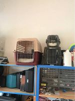 Large plastic animal crates and smaller crates with metal doors on shelving unit